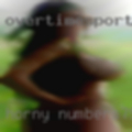 Horny numbers
