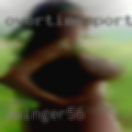 Swinger